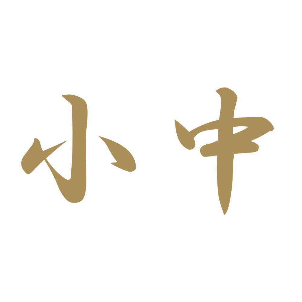 小中 9