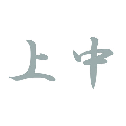 上中 10
