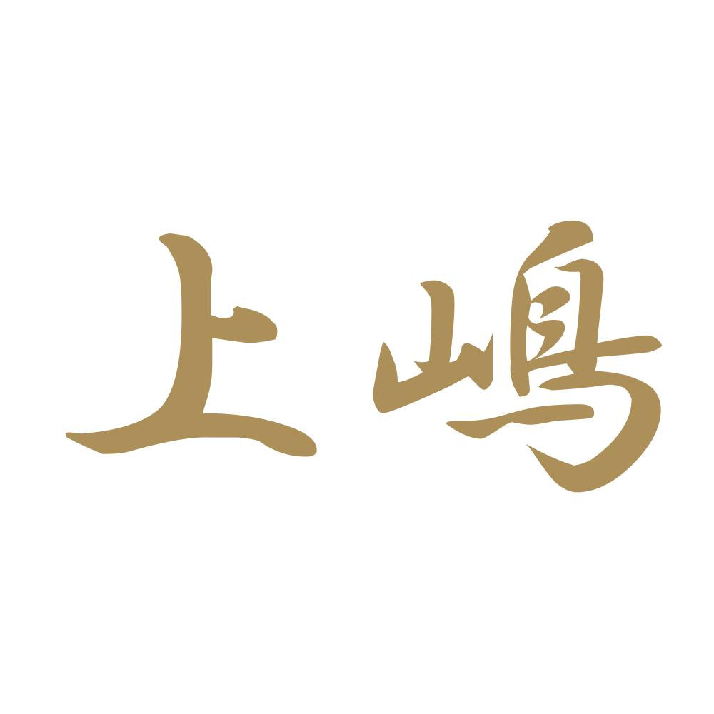 上嶋 9