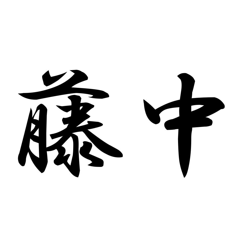 藤中