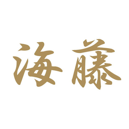 海藤 9