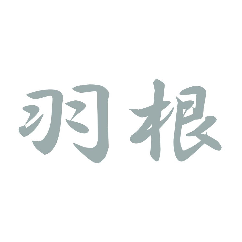 羽根 10