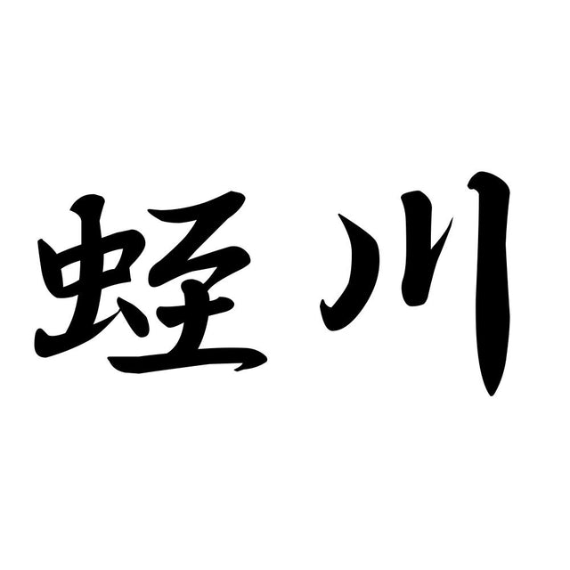 蛭川