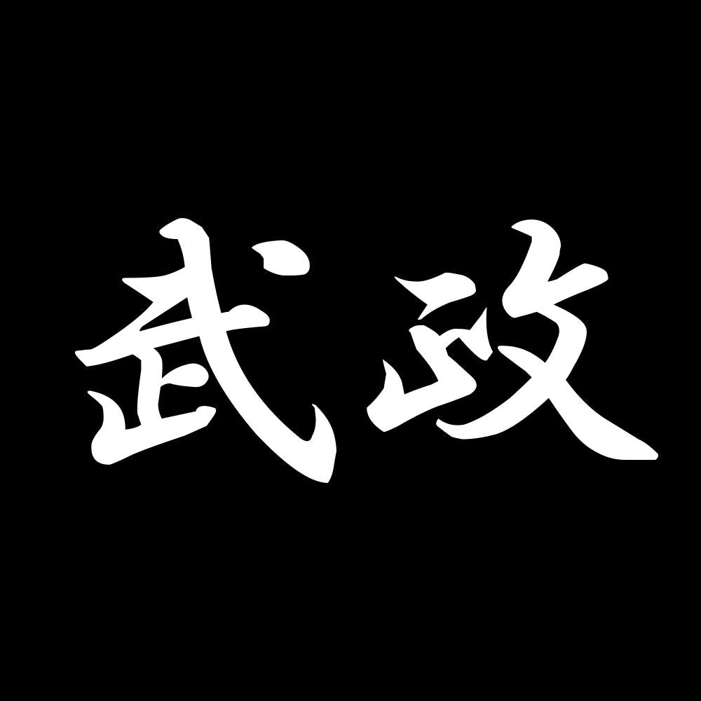 武政 7