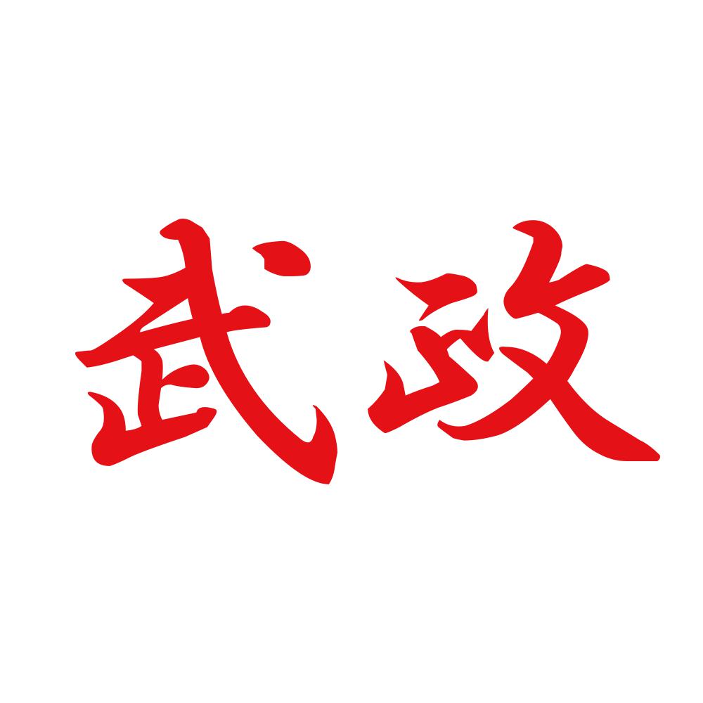 武政 8