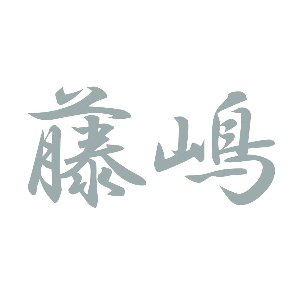 藤嶋 10