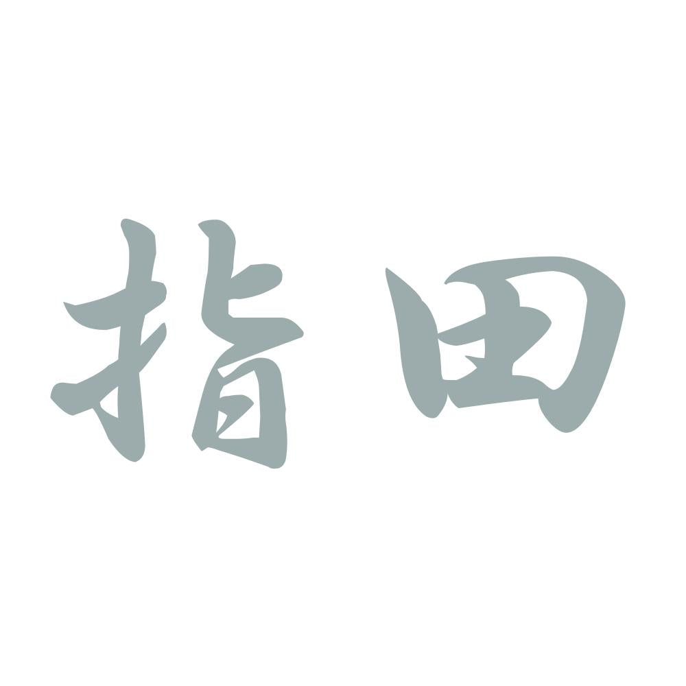 指田 10