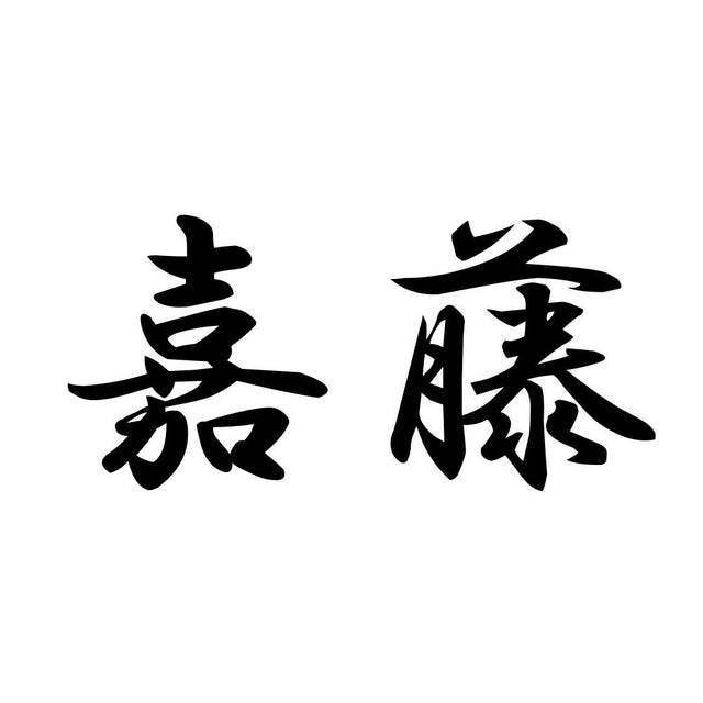 嘉藤