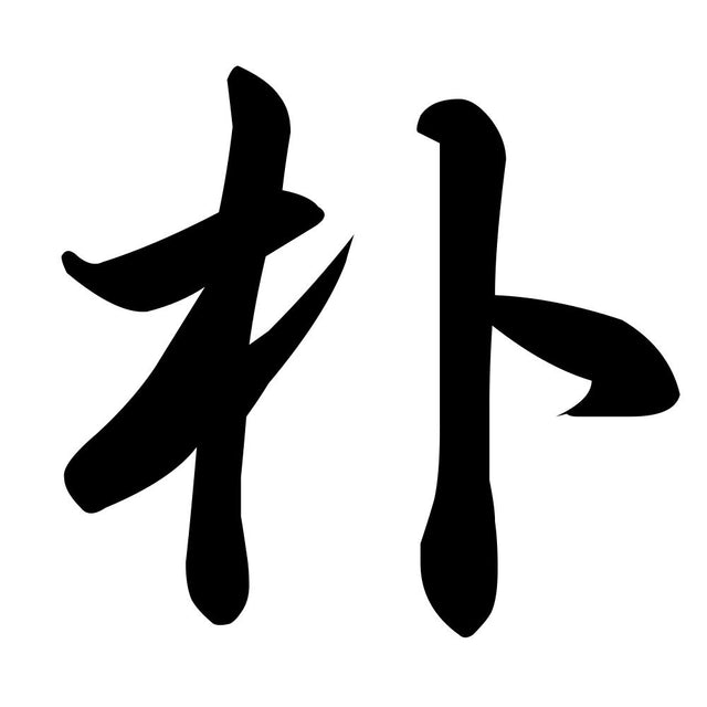 朴