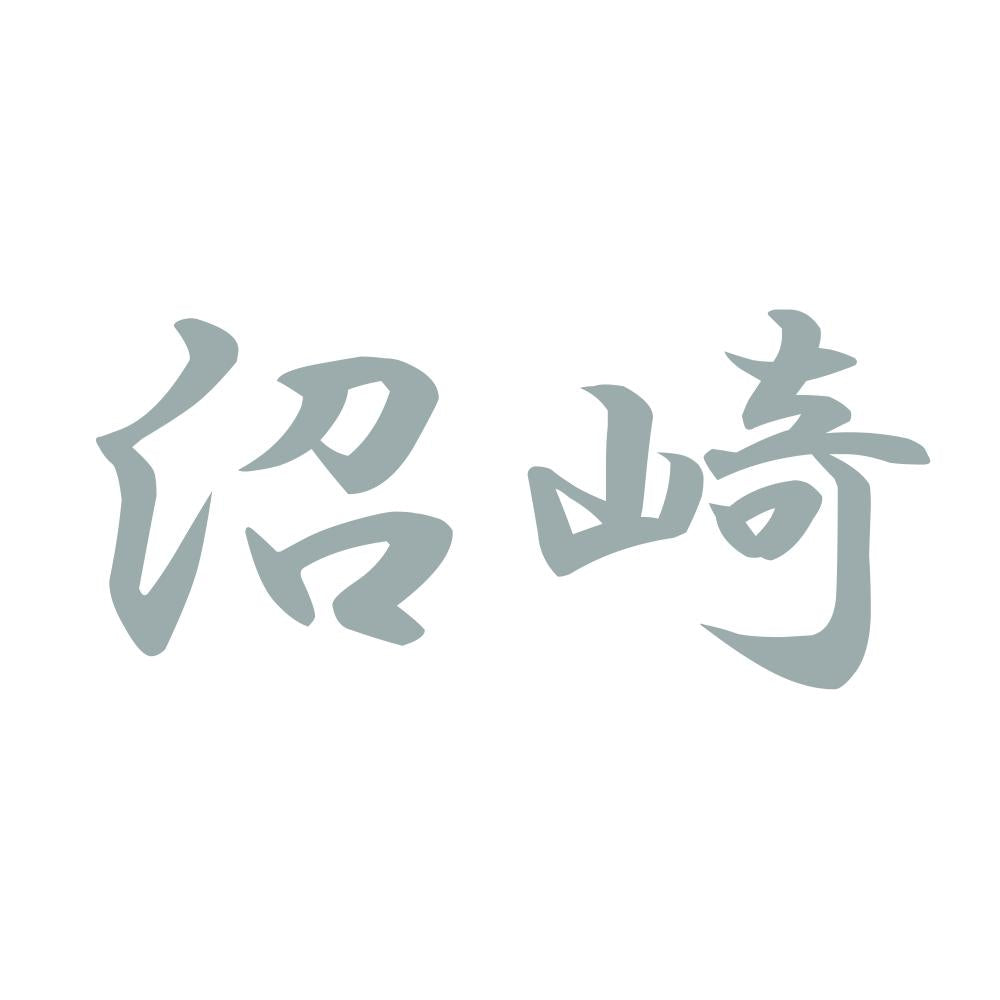 沼崎 10