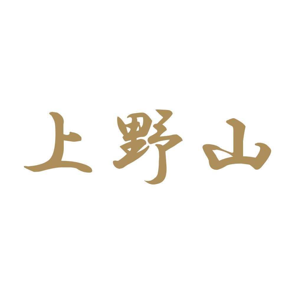 上野山 9