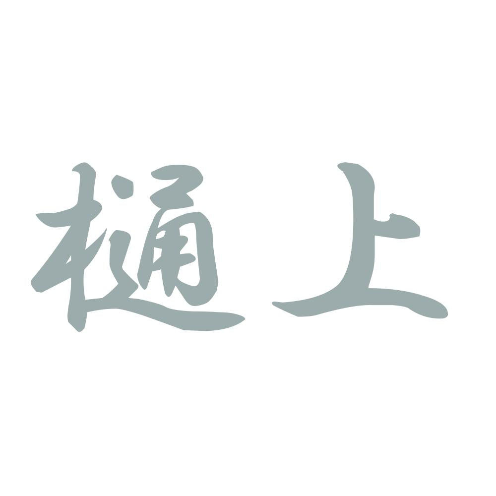 樋上 10