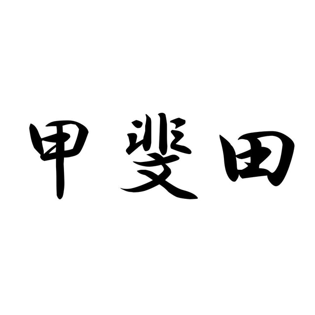 甲斐田