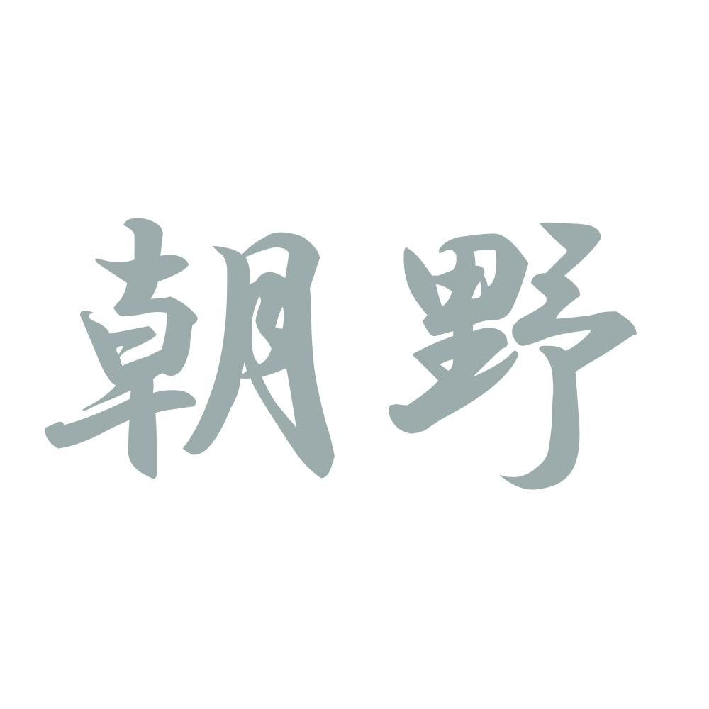 朝野 10