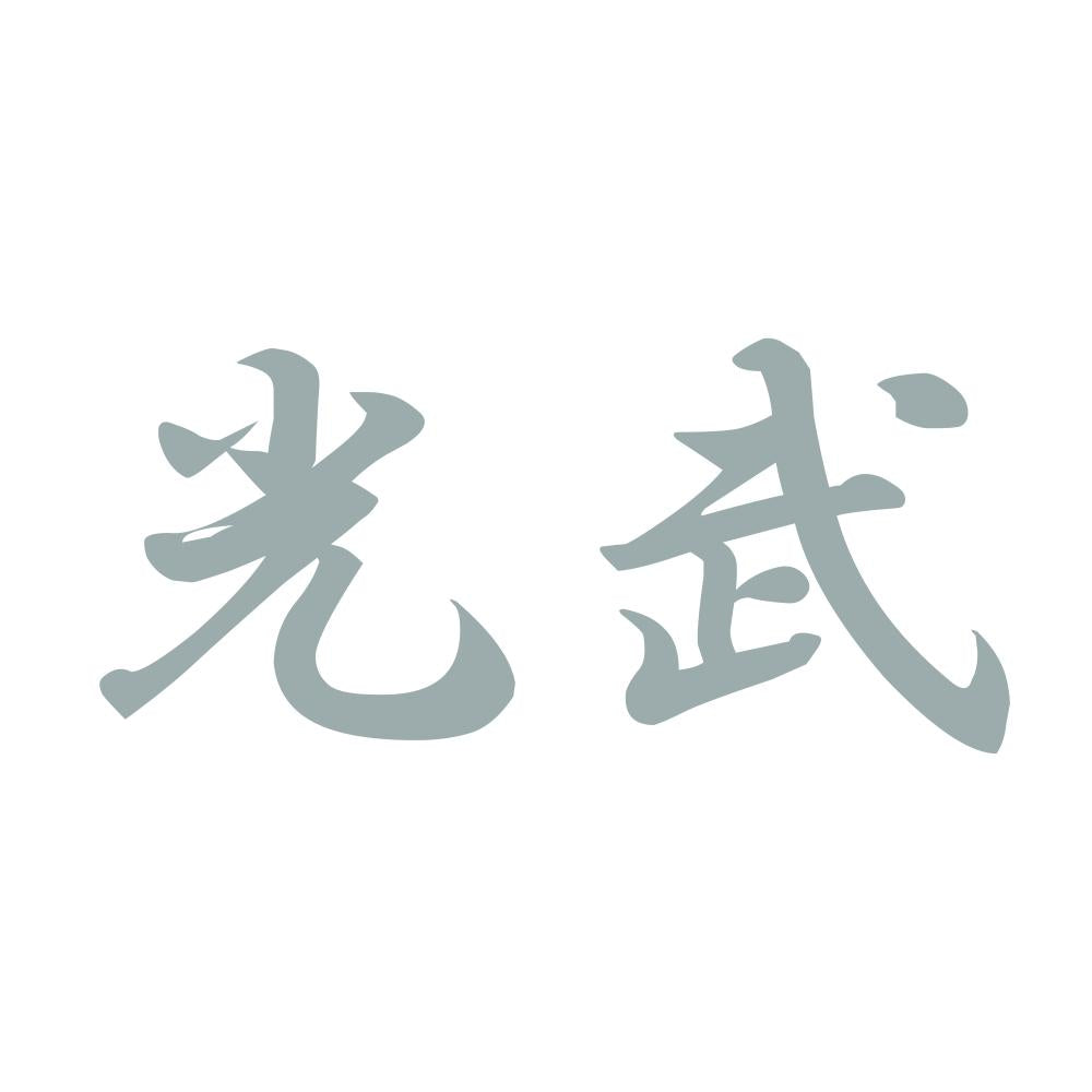光武 10