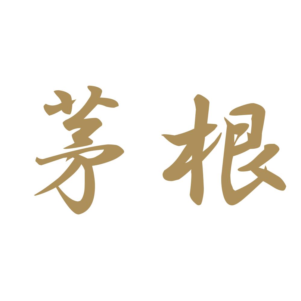 茅根 9