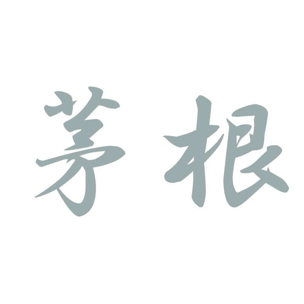 茅根 10