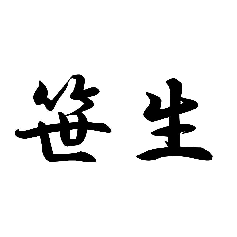 笹生
