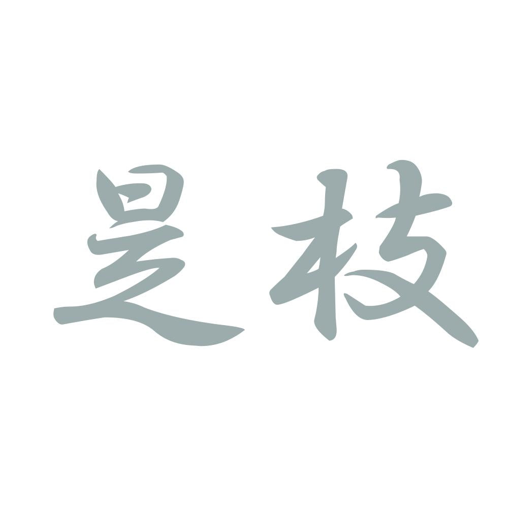 是枝 10