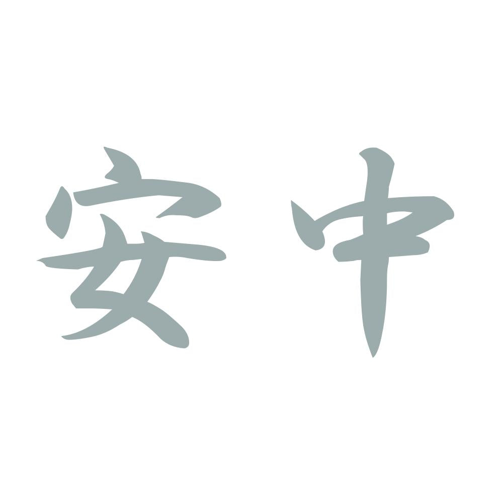 安中 10
