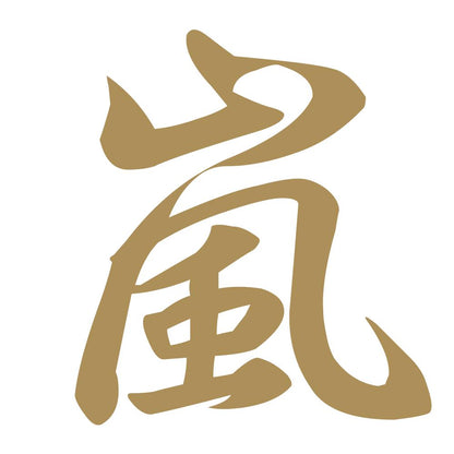 嵐 9