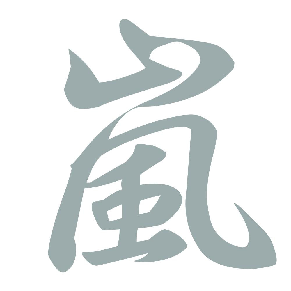 嵐 10