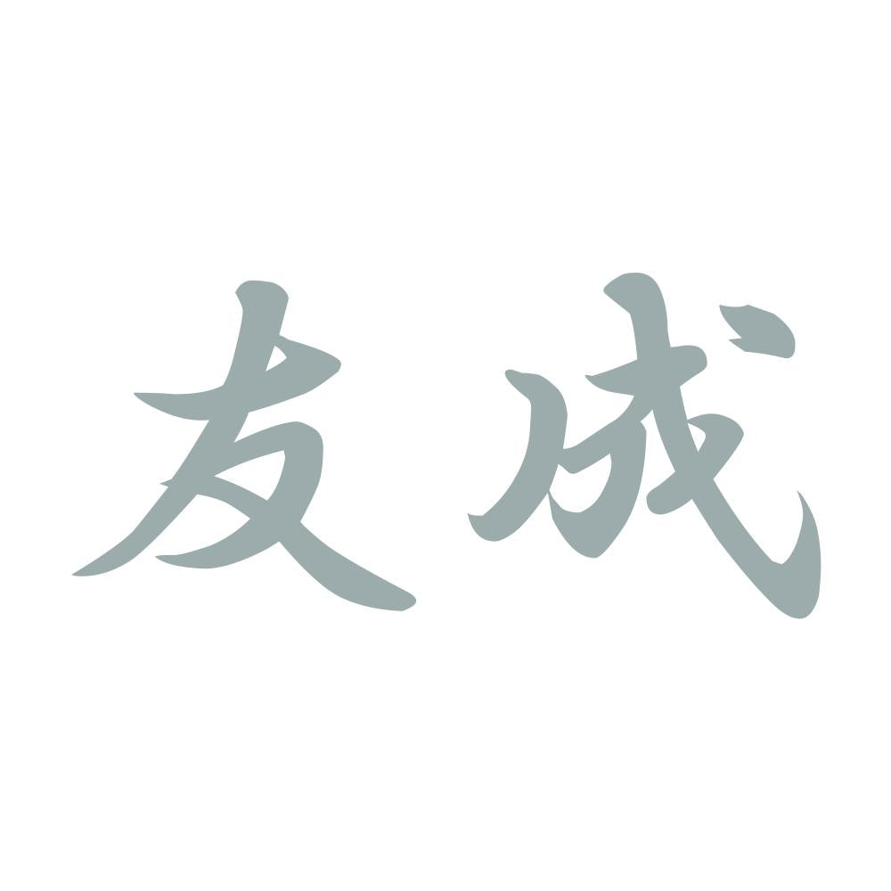 友成 10