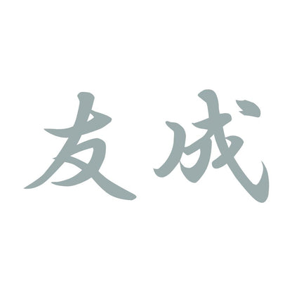 友成 10