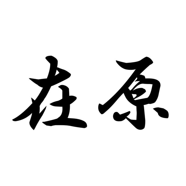 在原