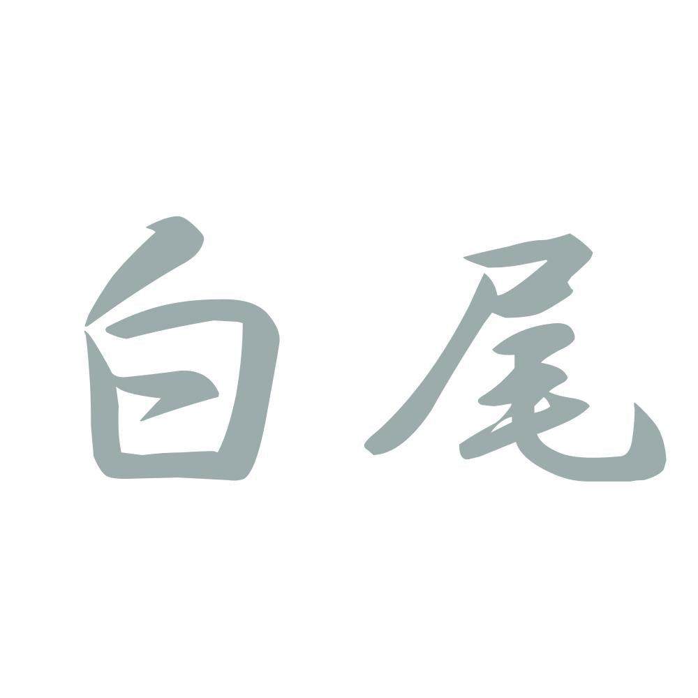 白尾 10