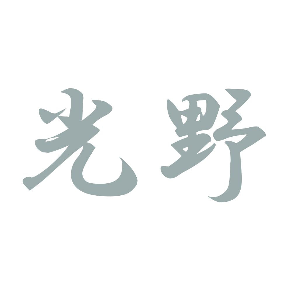 光野 10