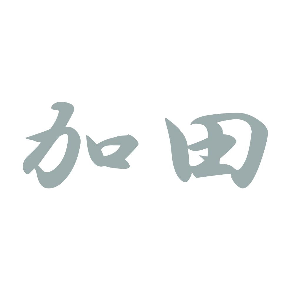 加田 10