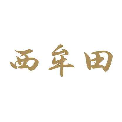 西牟田 9