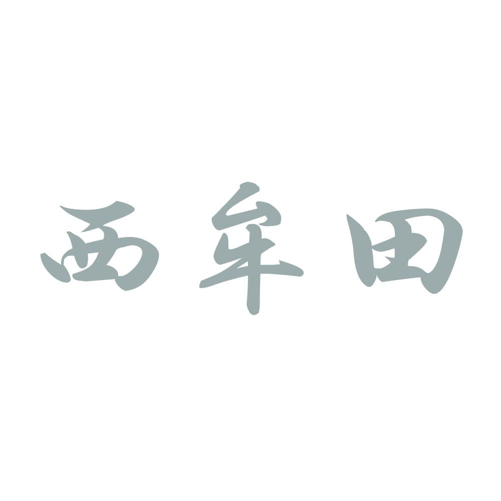 西牟田 10