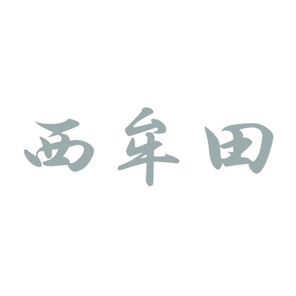 西牟田 10