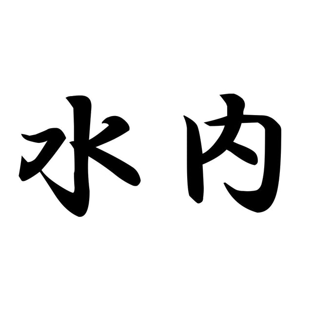 水内