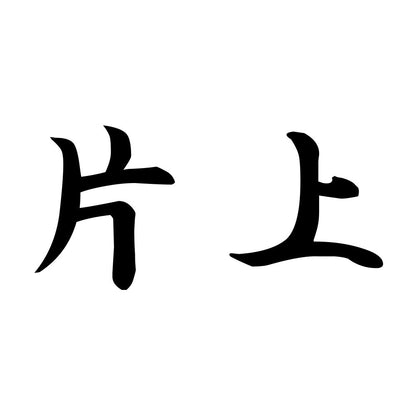 片上