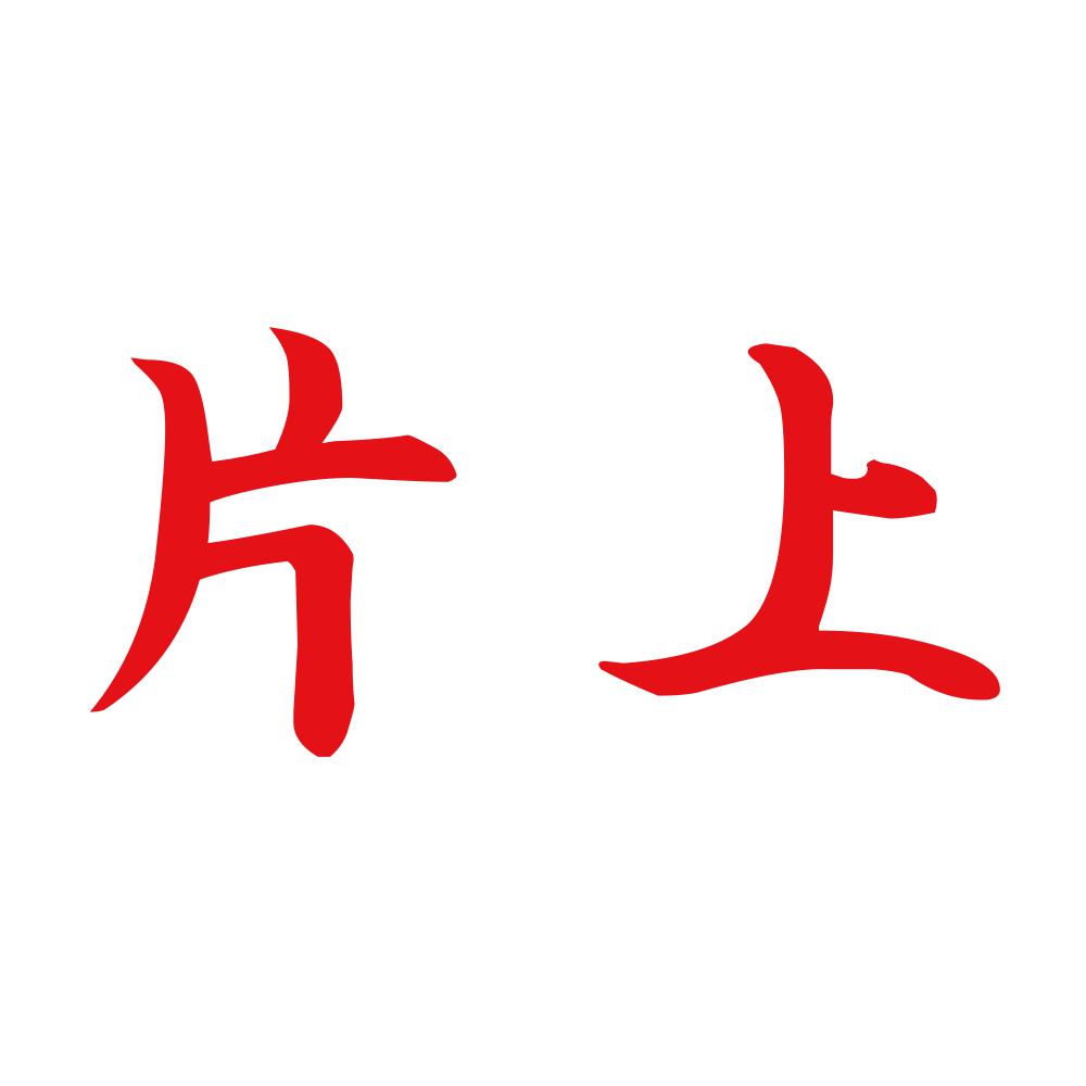 片上 8