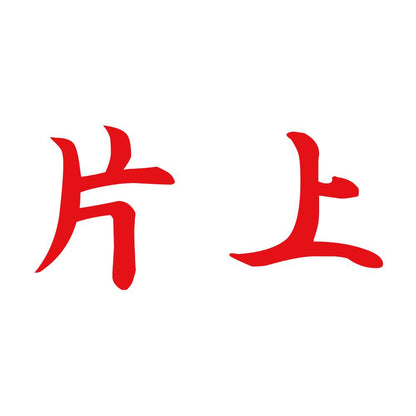 片上 8