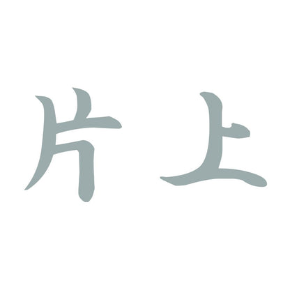 片上 10
