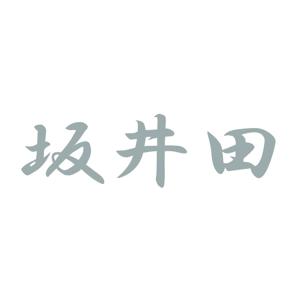 坂井田 10