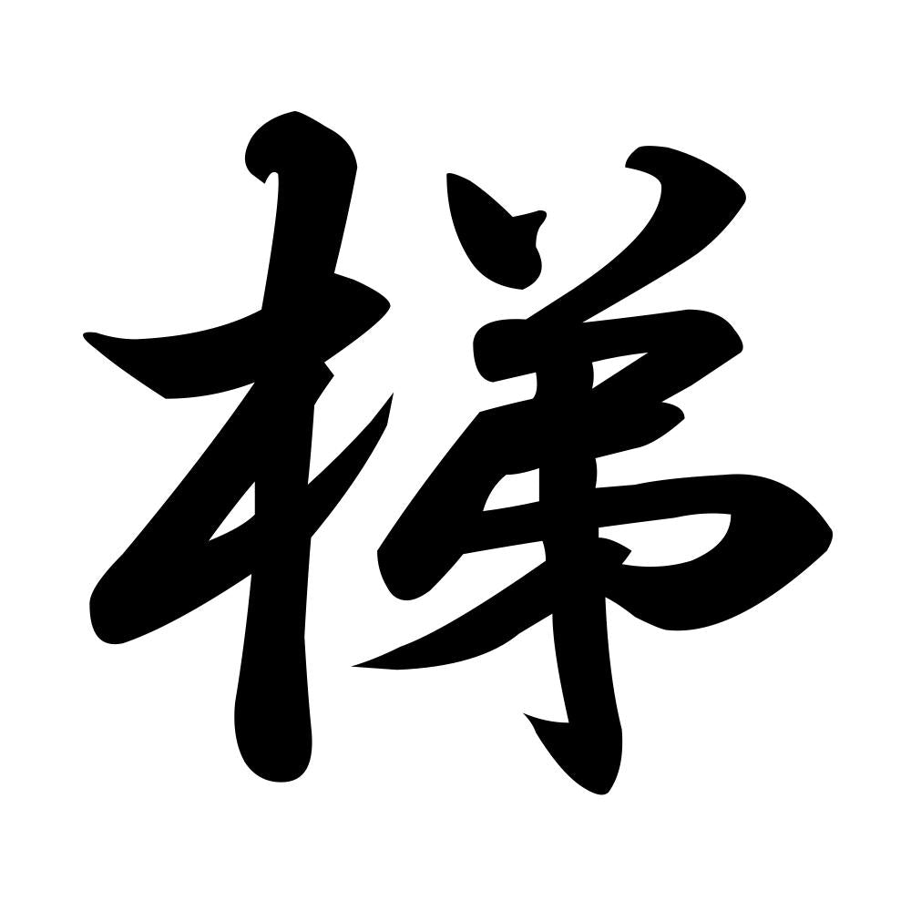 梯