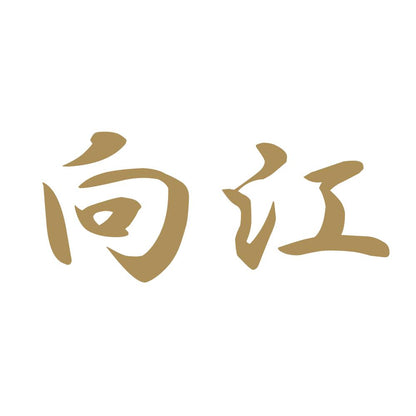 向江 9