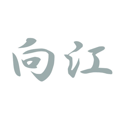 向江 10
