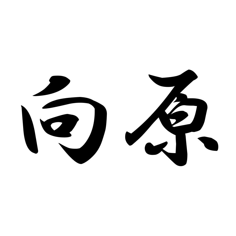 向原