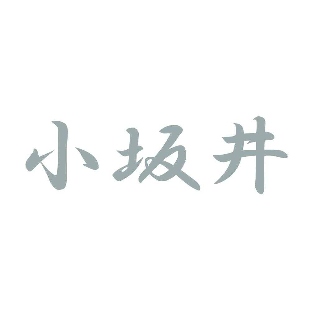 小坂井 10