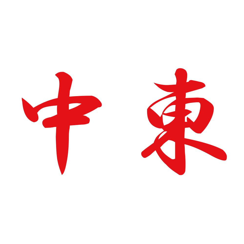 中東 8