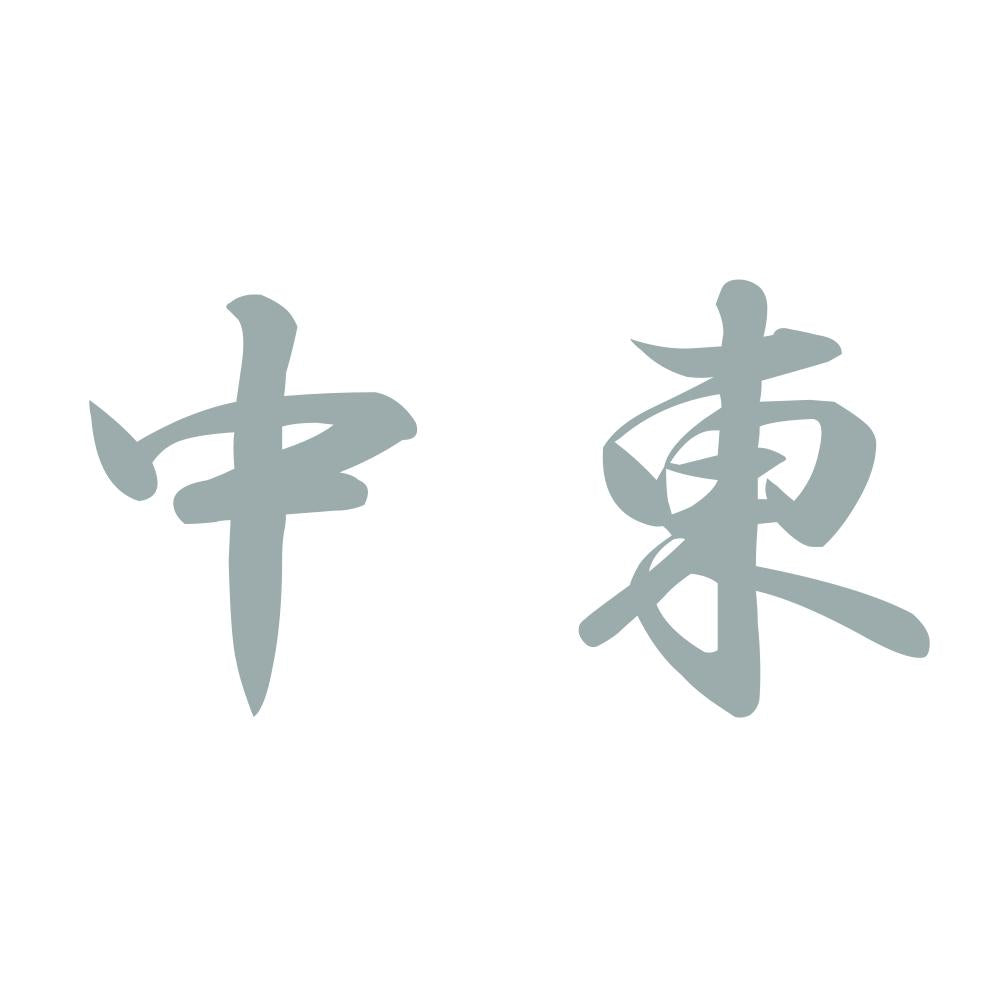 中東 10
