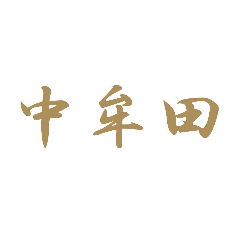 中牟田 9