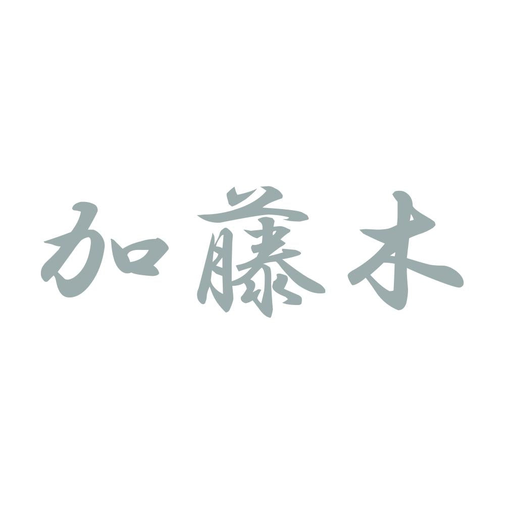 加藤木 10
